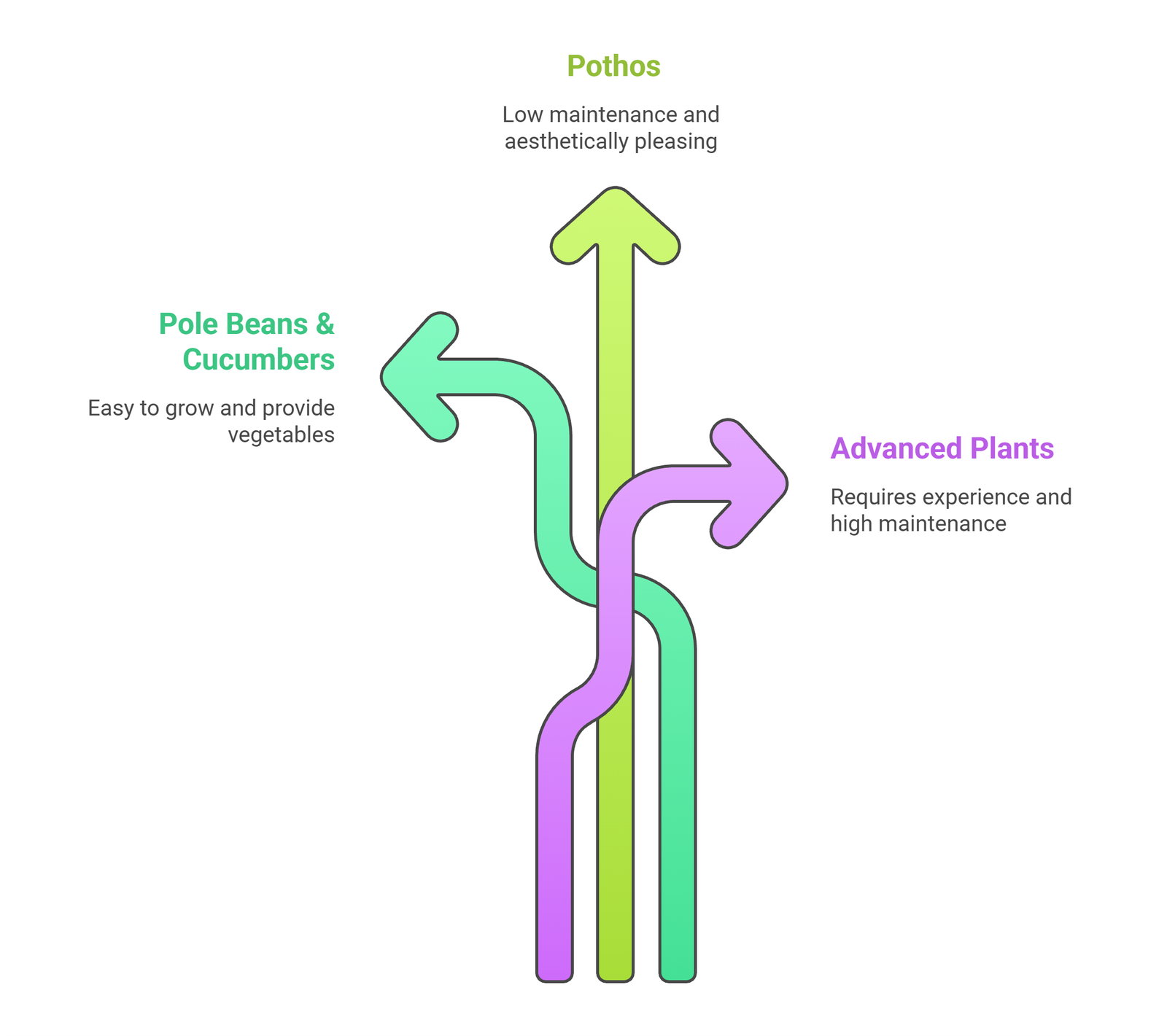 options for a vertical garden
